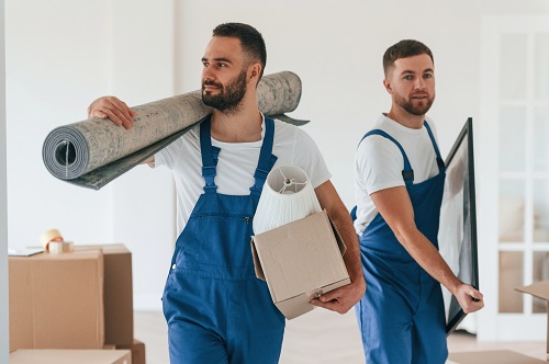 déménageurs professionnels