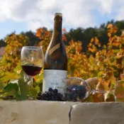 Vignoble à Fixin – Domaine Armelle et Jean-Michel MOLIN