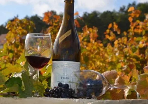 Vignoble à Fixin – Domaine Armelle et Jean-Michel MOLIN