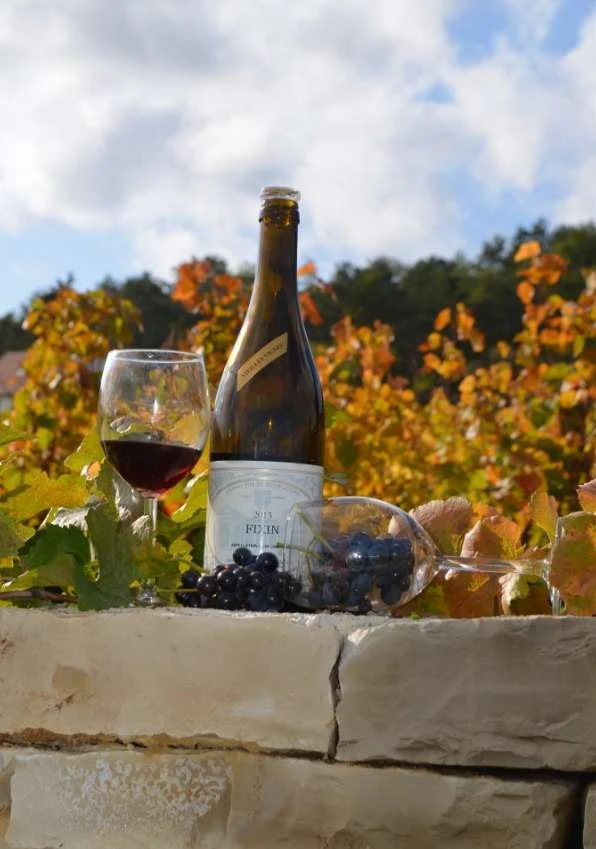 Vignoble à Fixin - Domaine Armelle et Jean-Michel MOLIN