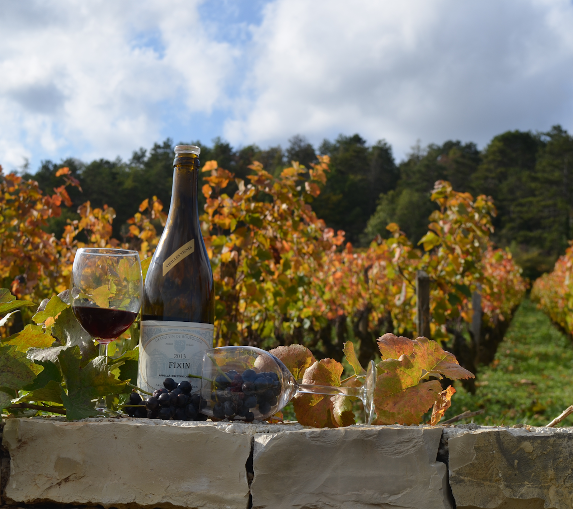 Vignoble à Fixin - Domaine Armelle et Jean-Michel MOLIN